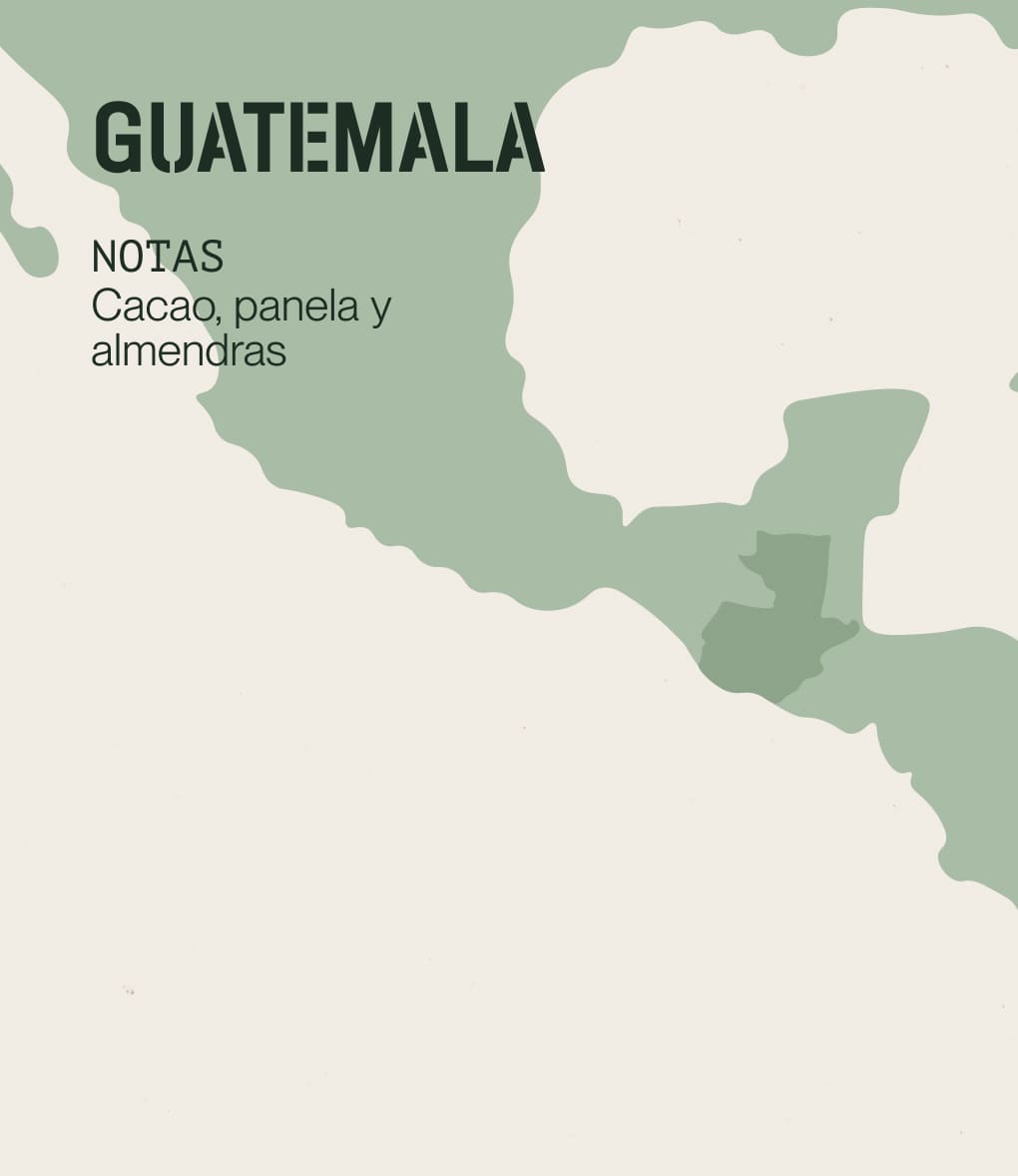 Notas de cata de café de especialidad de origen Guatemala