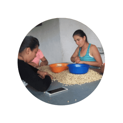 Café en grano Finca el Vergel Pereira Risaralda Colombia