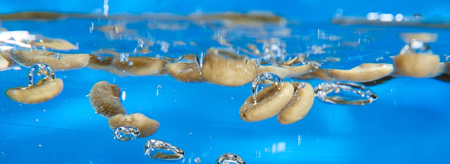 Café descafeinado al agua método Swiss Water