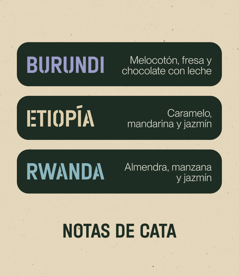 Notas de cata de café en grano Pack África