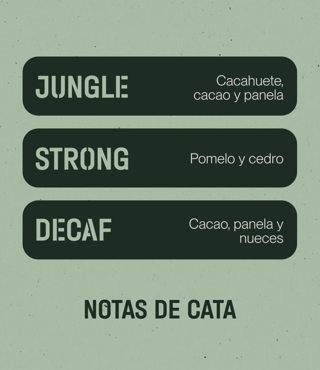 Notas de cata de café en grano Pack Blends