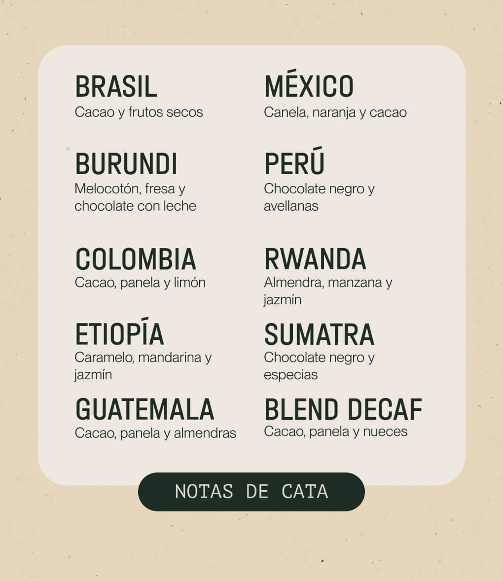 Notas de cata de café en grano Pack Worldwide