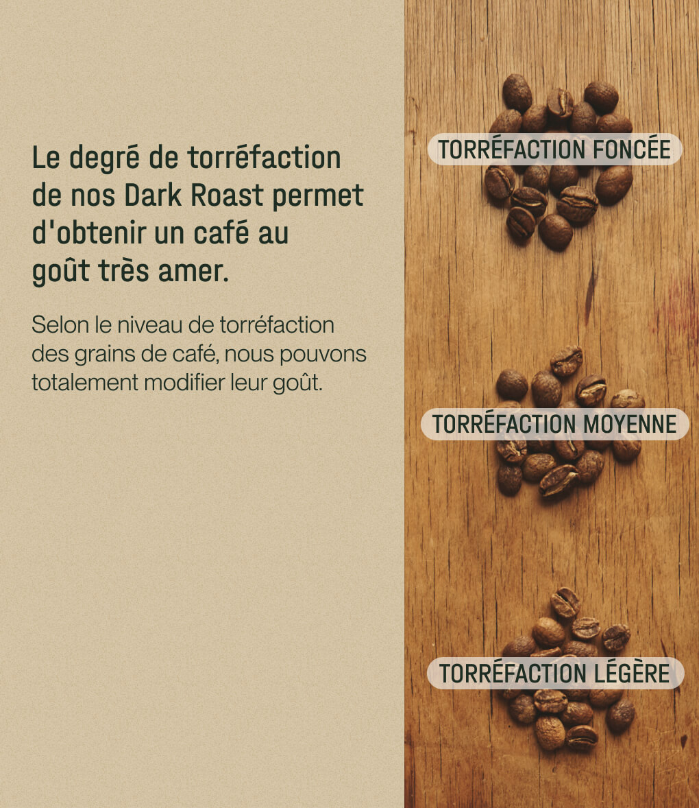 Comparaison des niveaux de torréfaction du café en grains