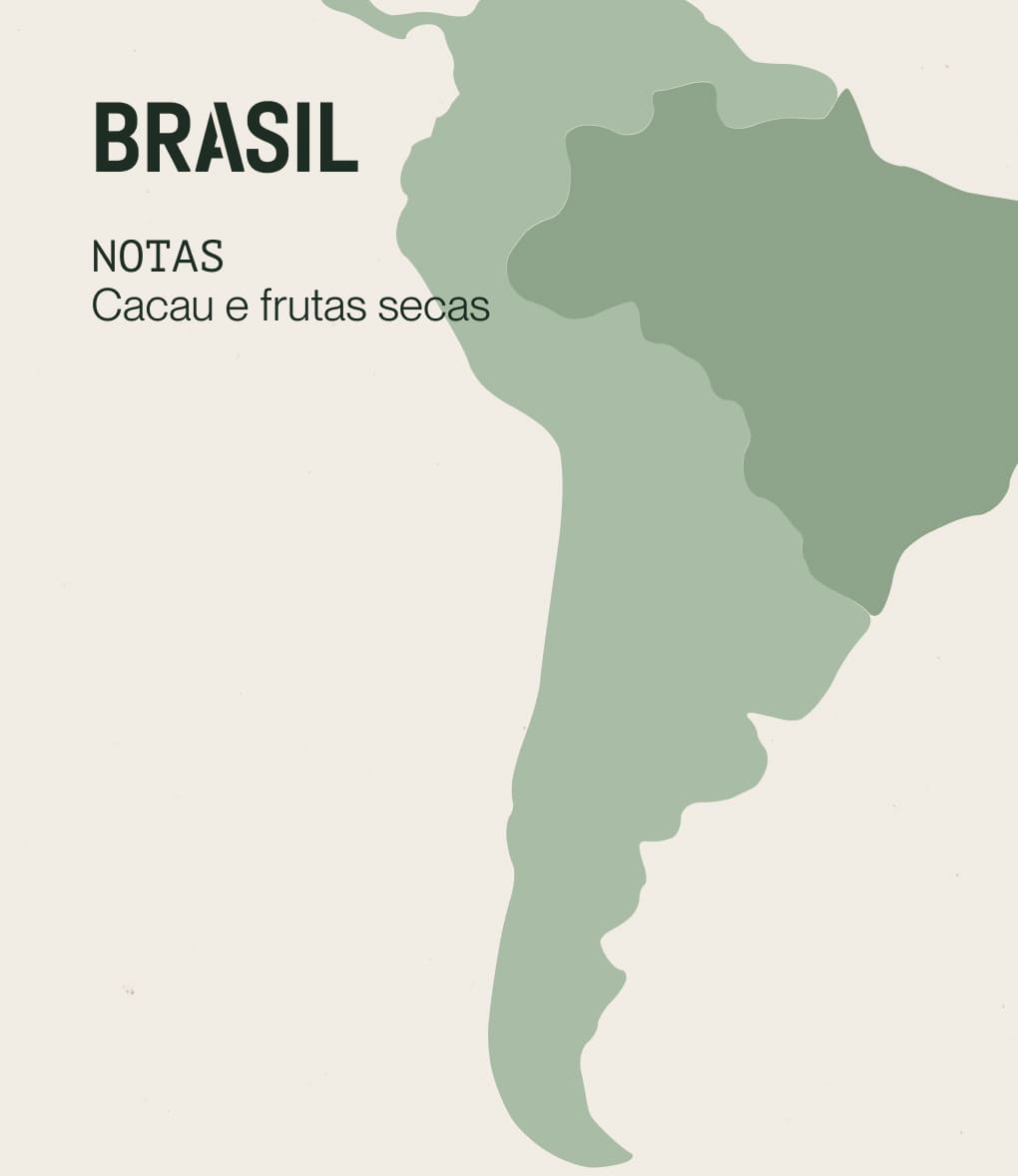 Notas de degustação de café de especialidade originário do Brasil