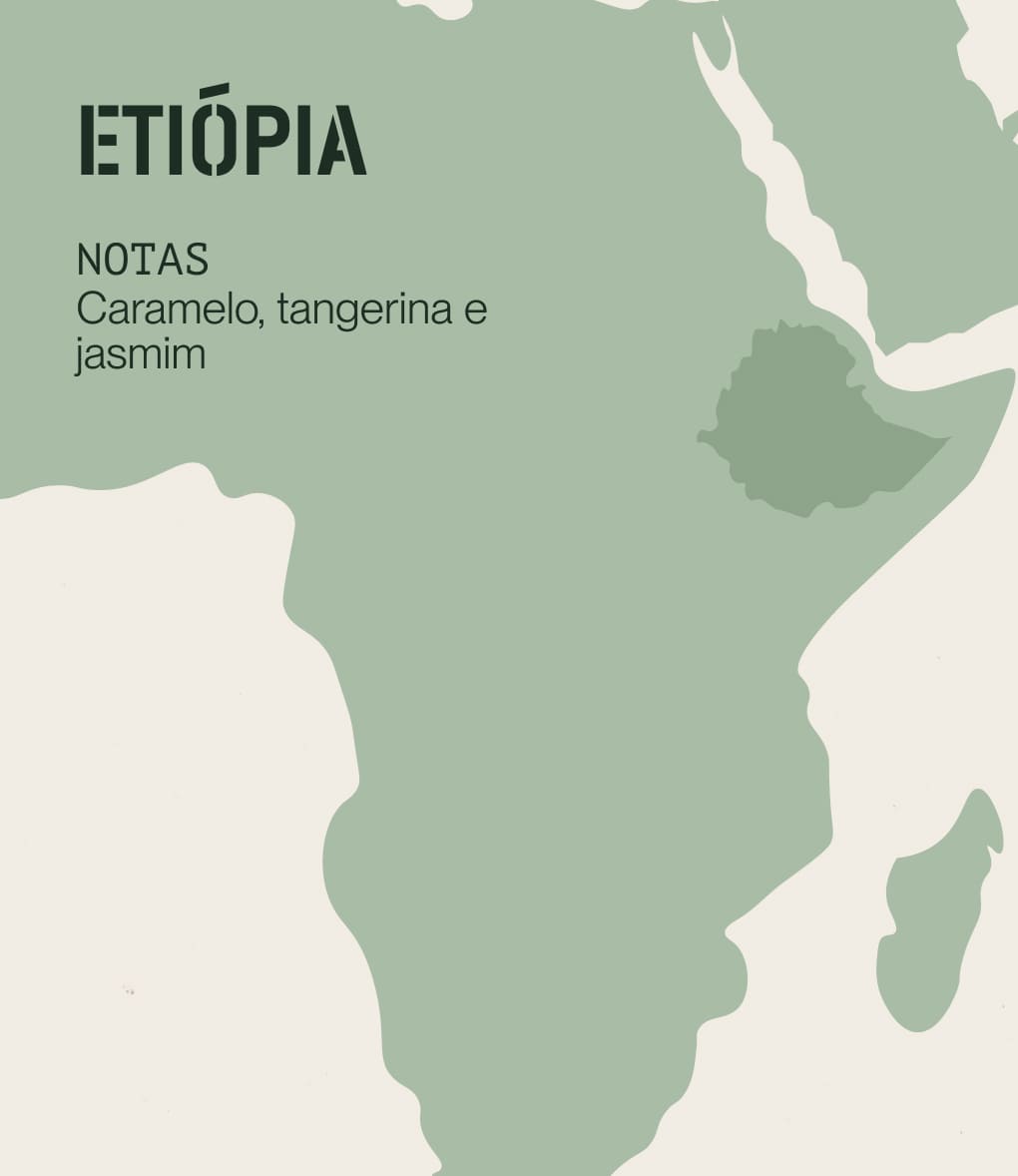 Notas de degustação de café de especialidade originário da Etiópia