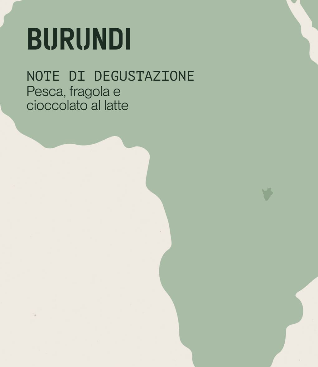 Note di degustazione di caffè di specialità proveniente dal Burundi