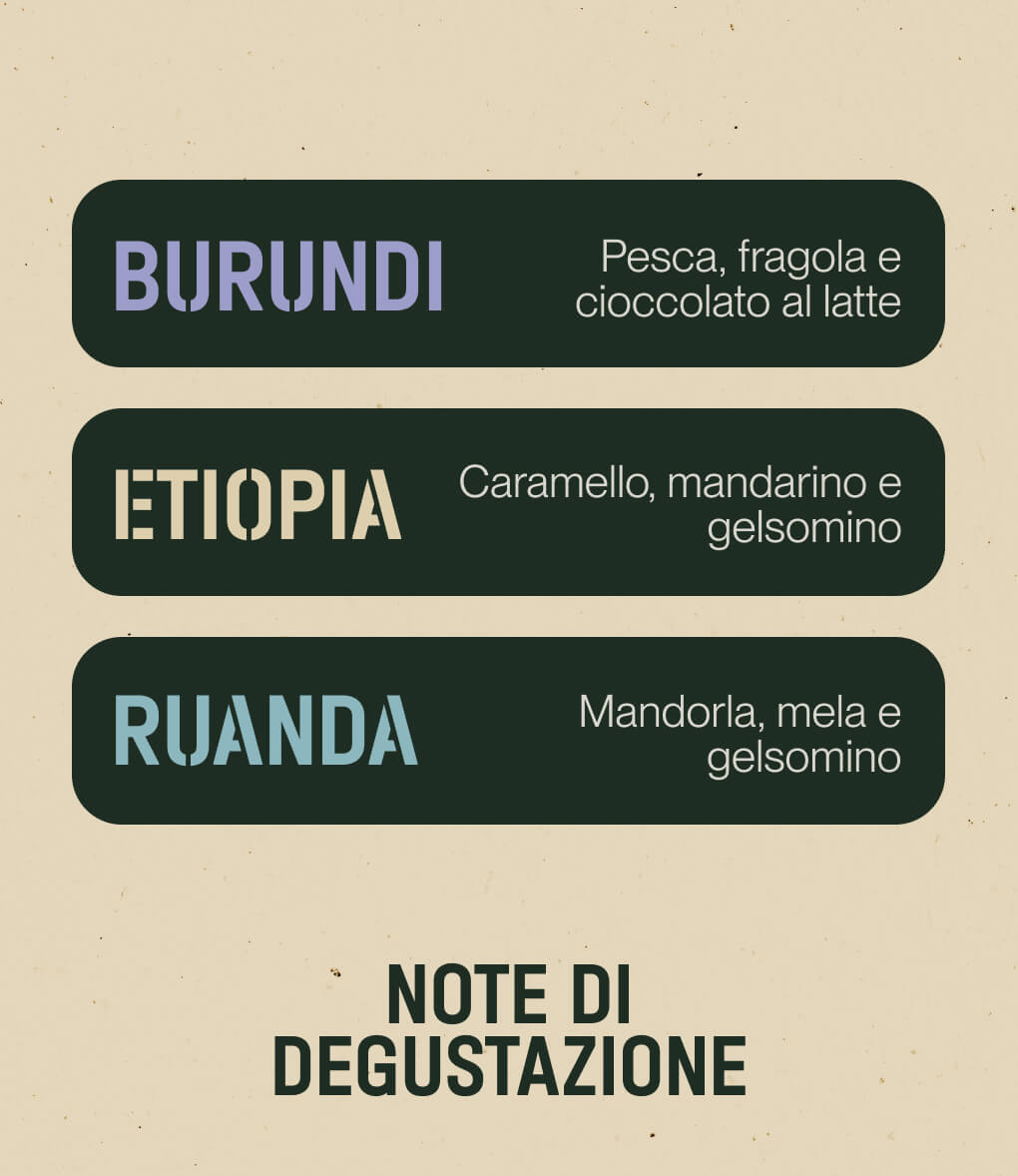 Note di degustazione del caffè in grani Pack Africa