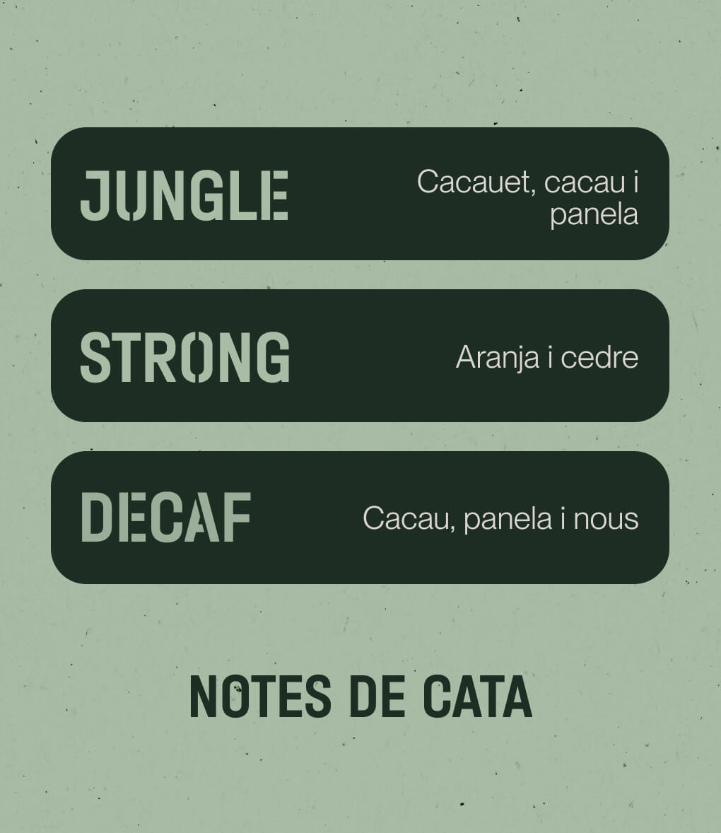 Notes de cata de cafè en gra Pack Blends