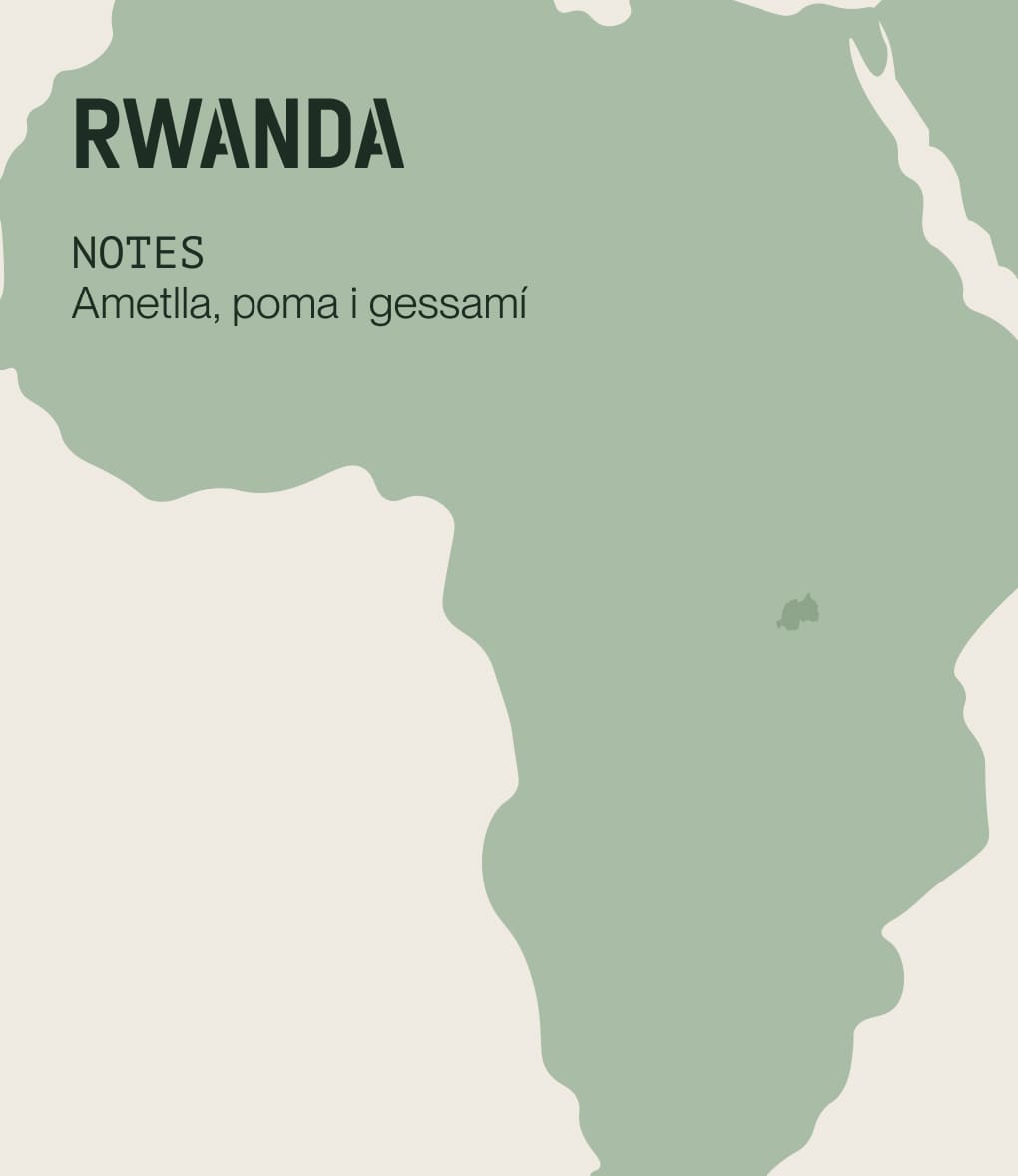 Notes de cata de cafè d'especialitat d'origen Rwanda