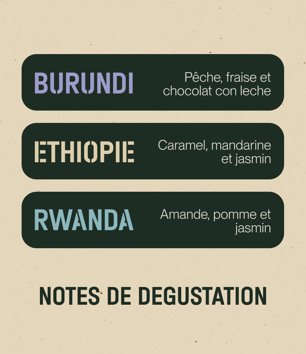 Notes de dégustation du café en grains Pack Afrique