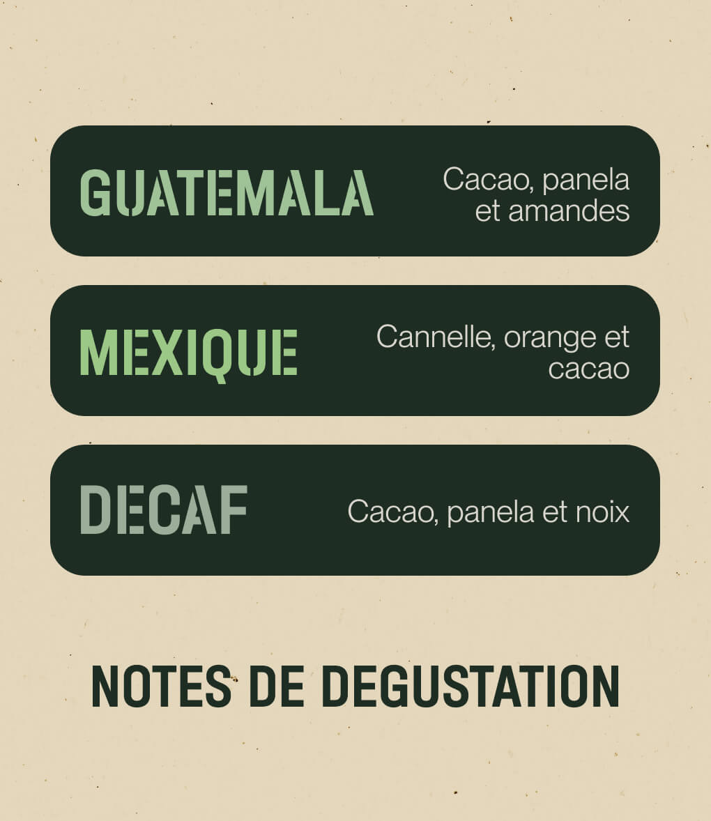 Notes de dégustation du café en grains Pack Amérique centrale