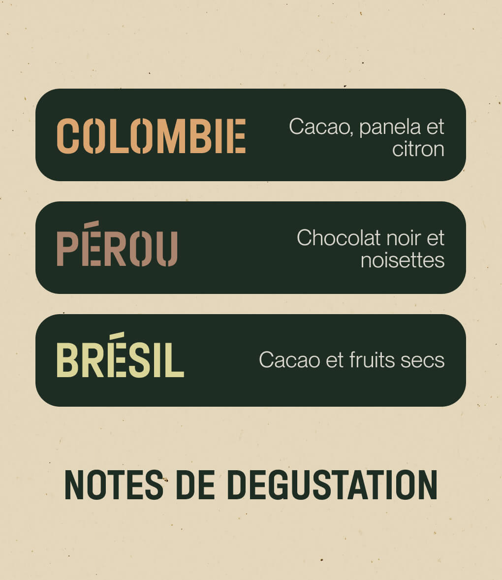 Notes de dégustation du café en grains Pack Amérique du Sud