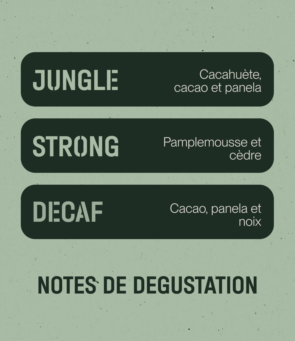 Notes de dégustation du café en grains Pack Mélanges