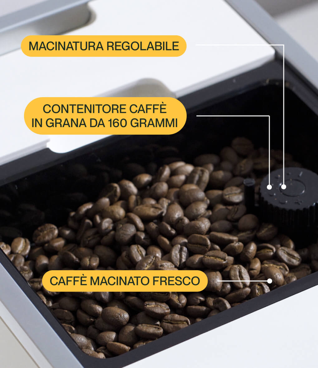 Macchina da Caffè in grani Modello Bianco - Incapto