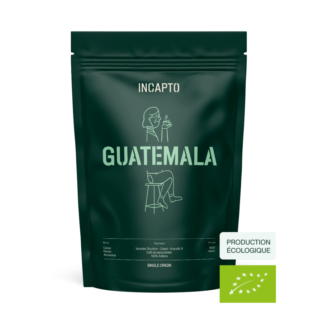 Café de spécialité biologique du Guatemala