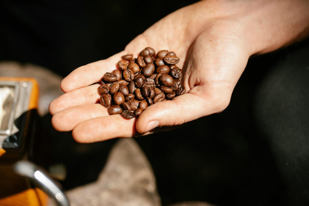choisir café en grains