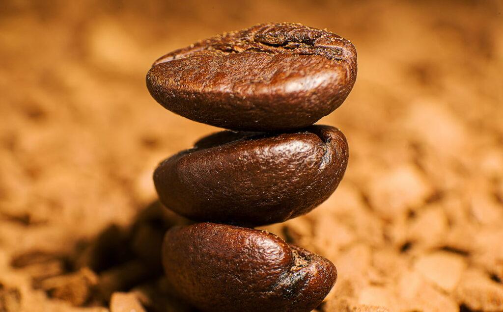cafe robusta caracteristiques