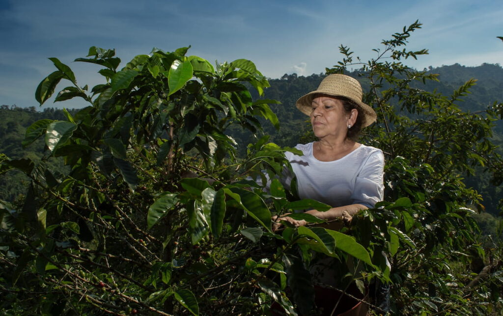 Le café de spécialité est intrinsèquement lié à des pratiques de production éthiques et durables