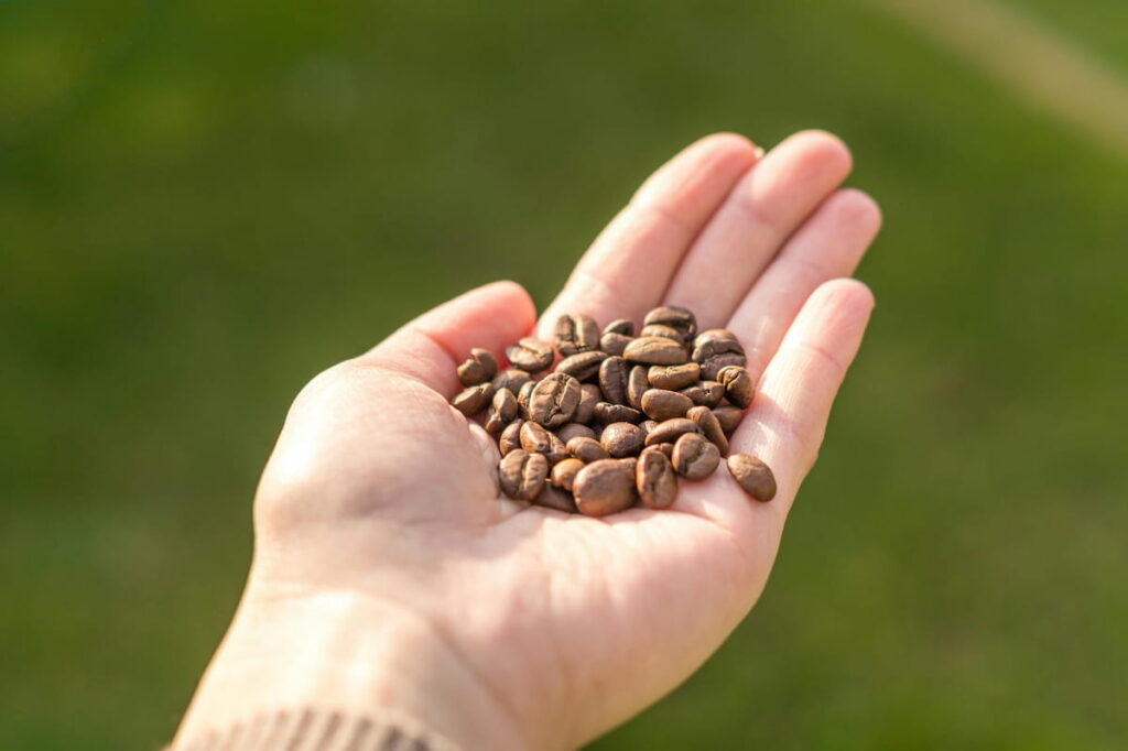 café en grains vs capsules
