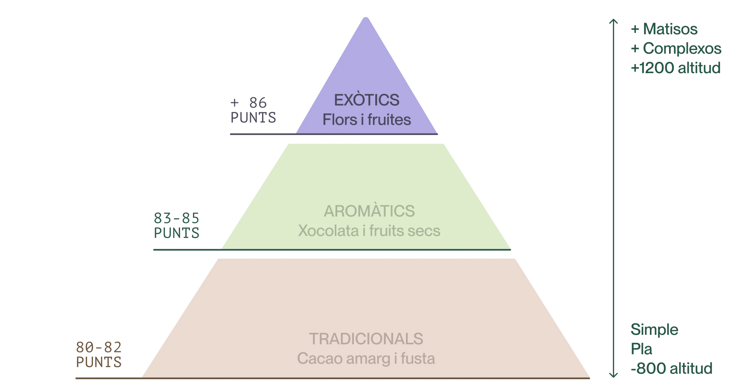 Imagen traducida