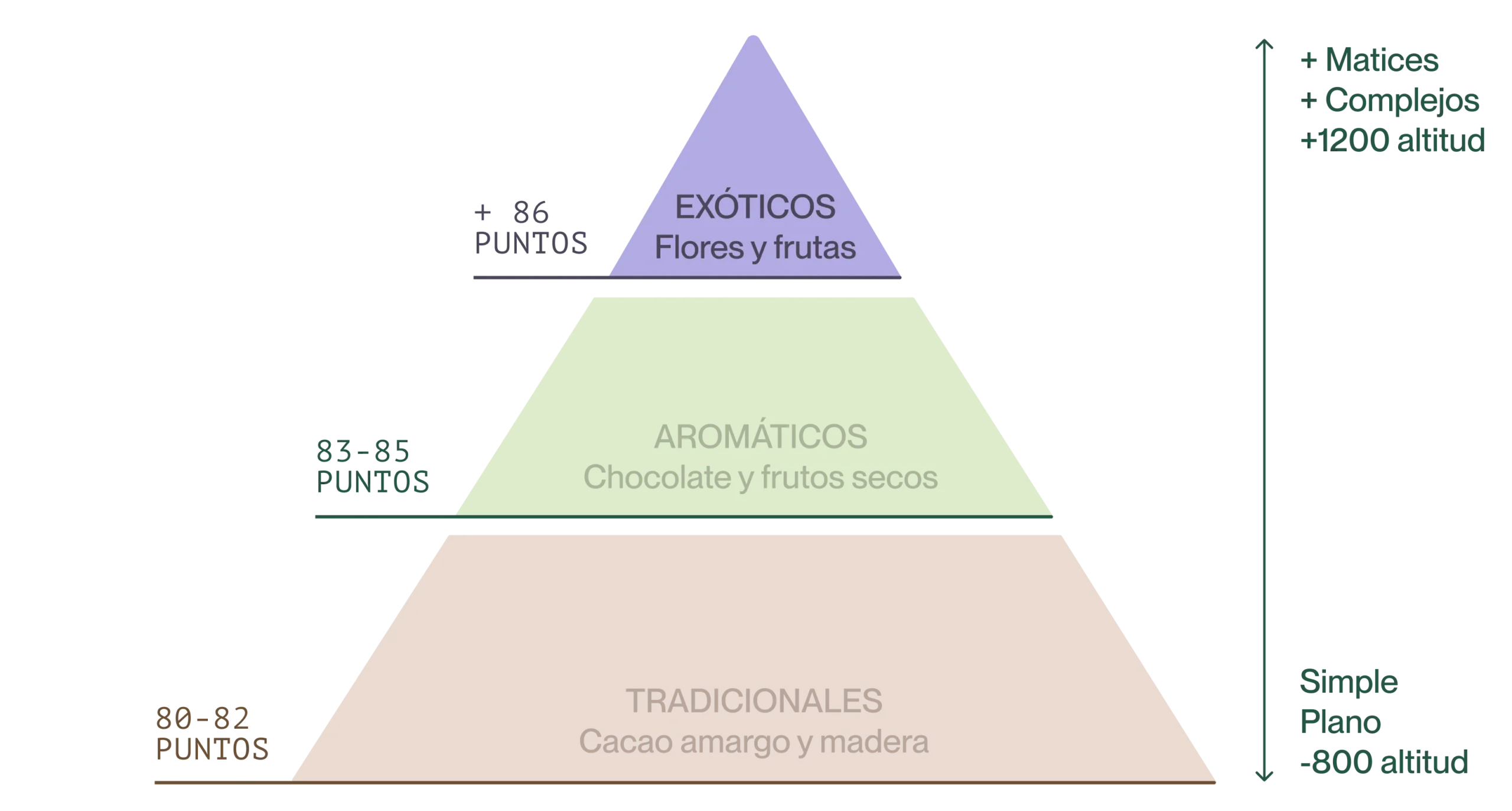 Imagen traducida