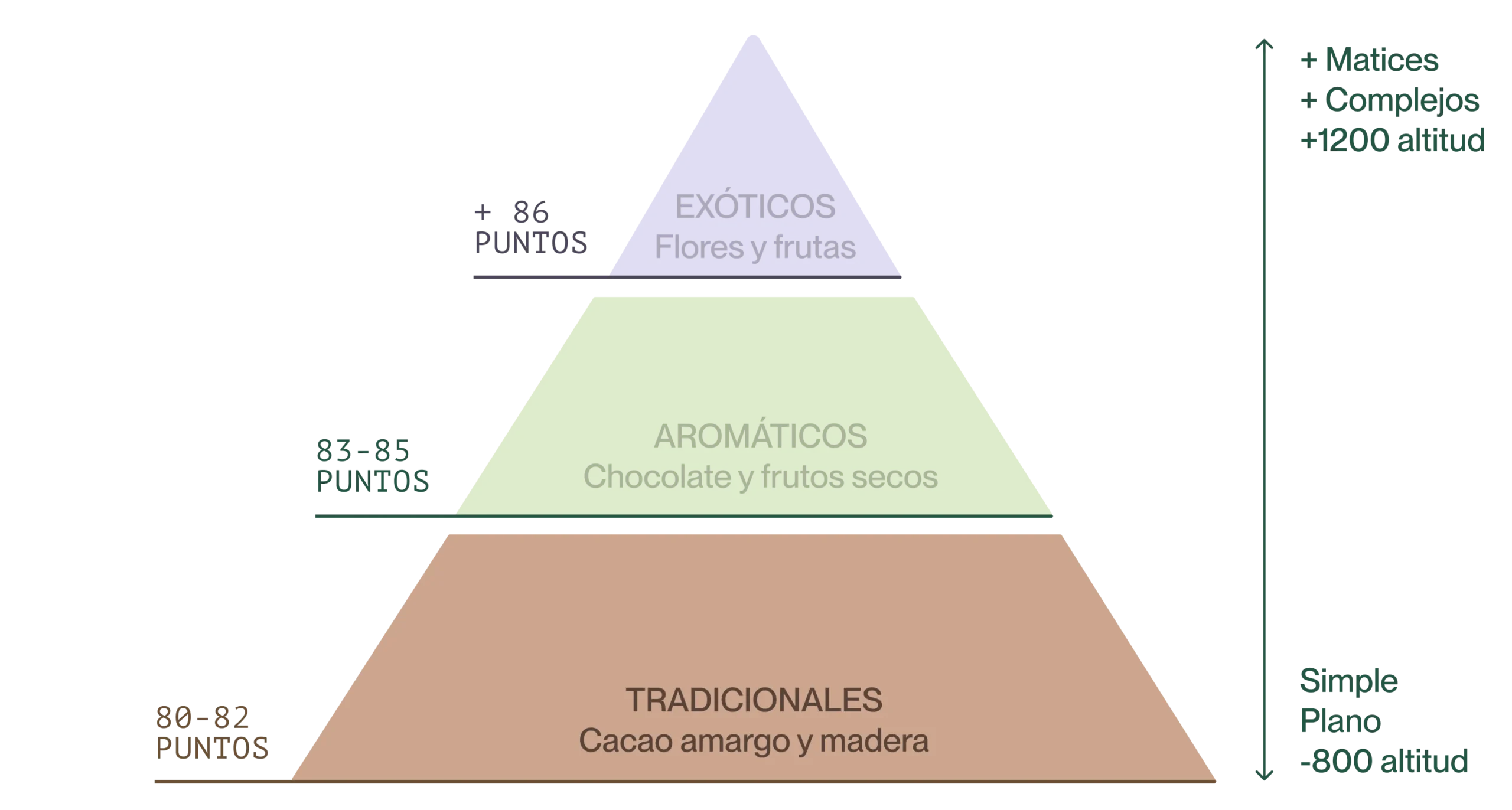 Imagen traducida