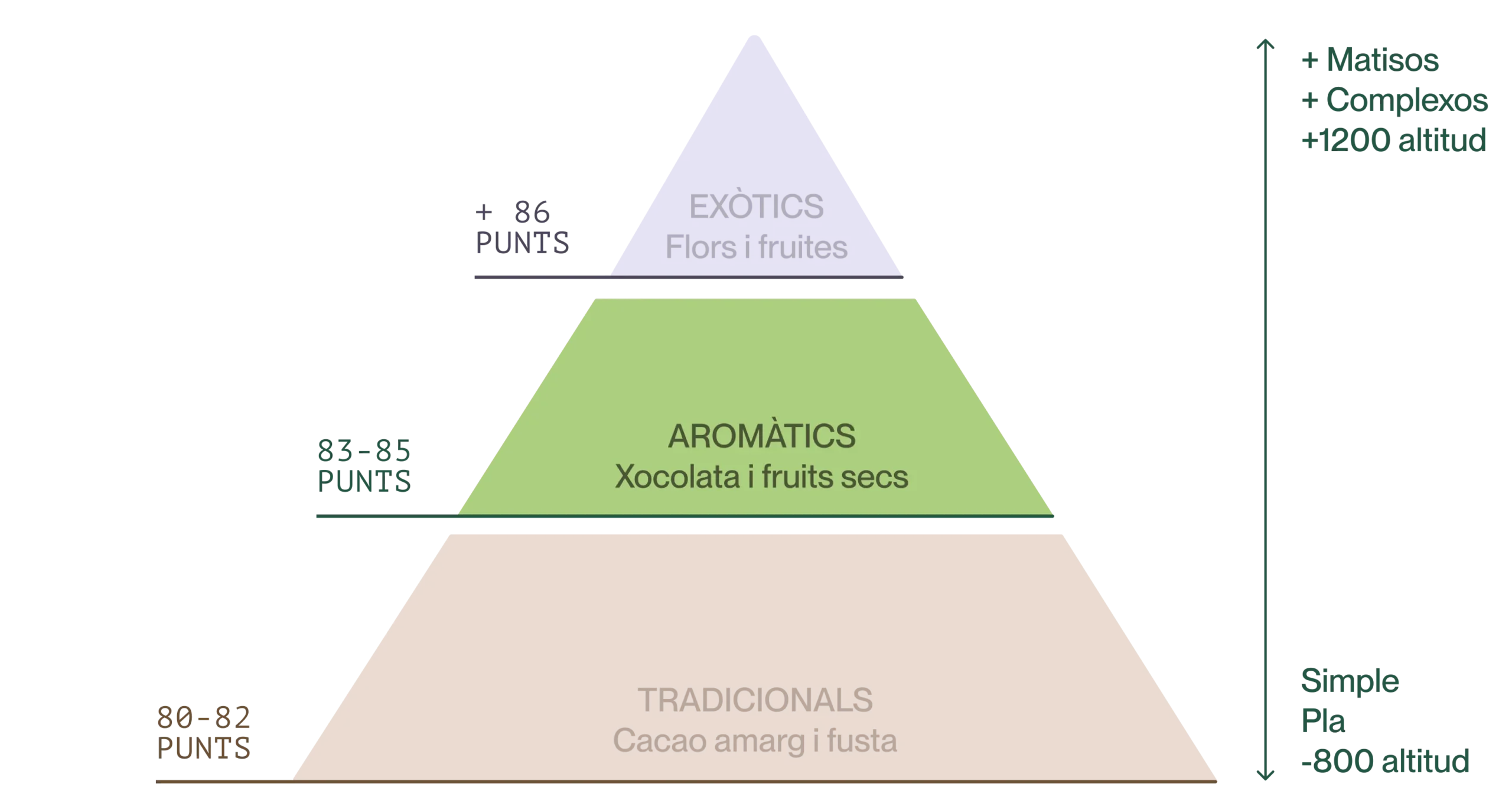 Imagen traducida