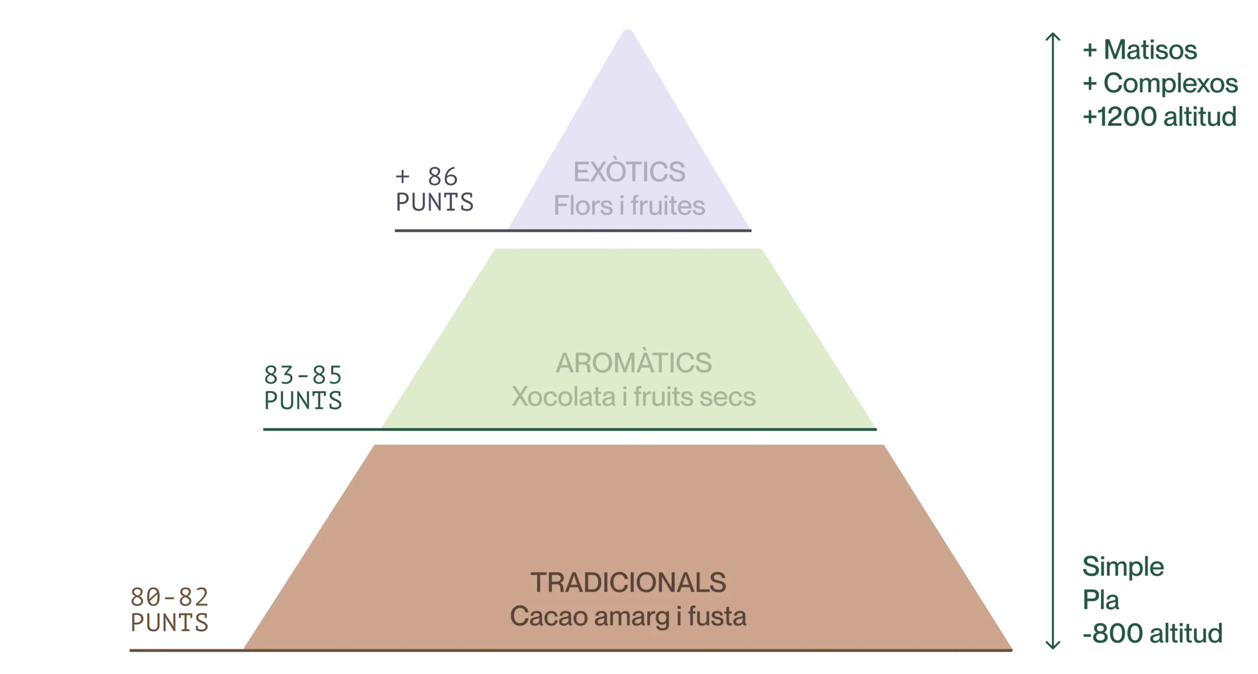 Imagen traducida