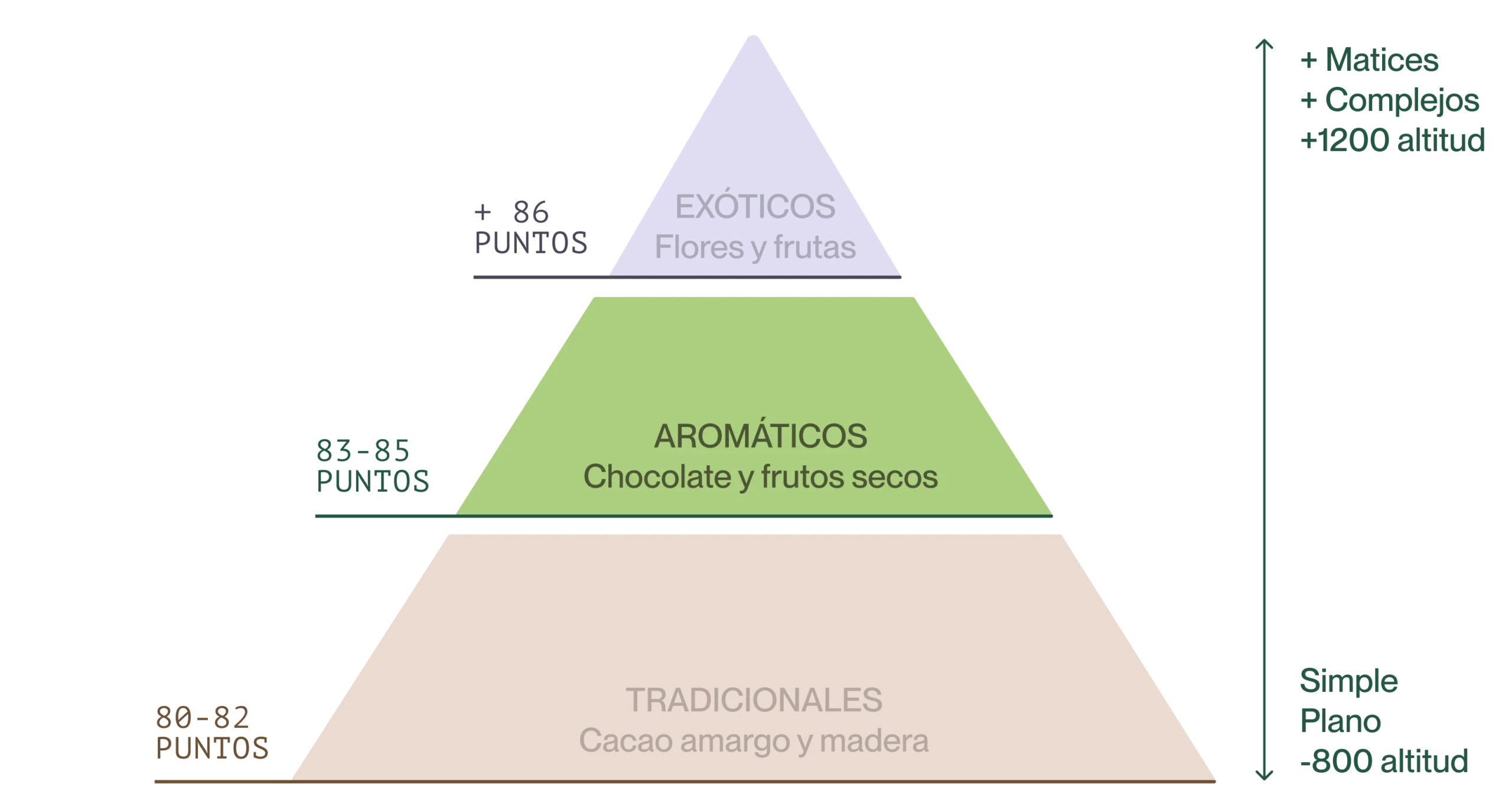 Imagen traducida