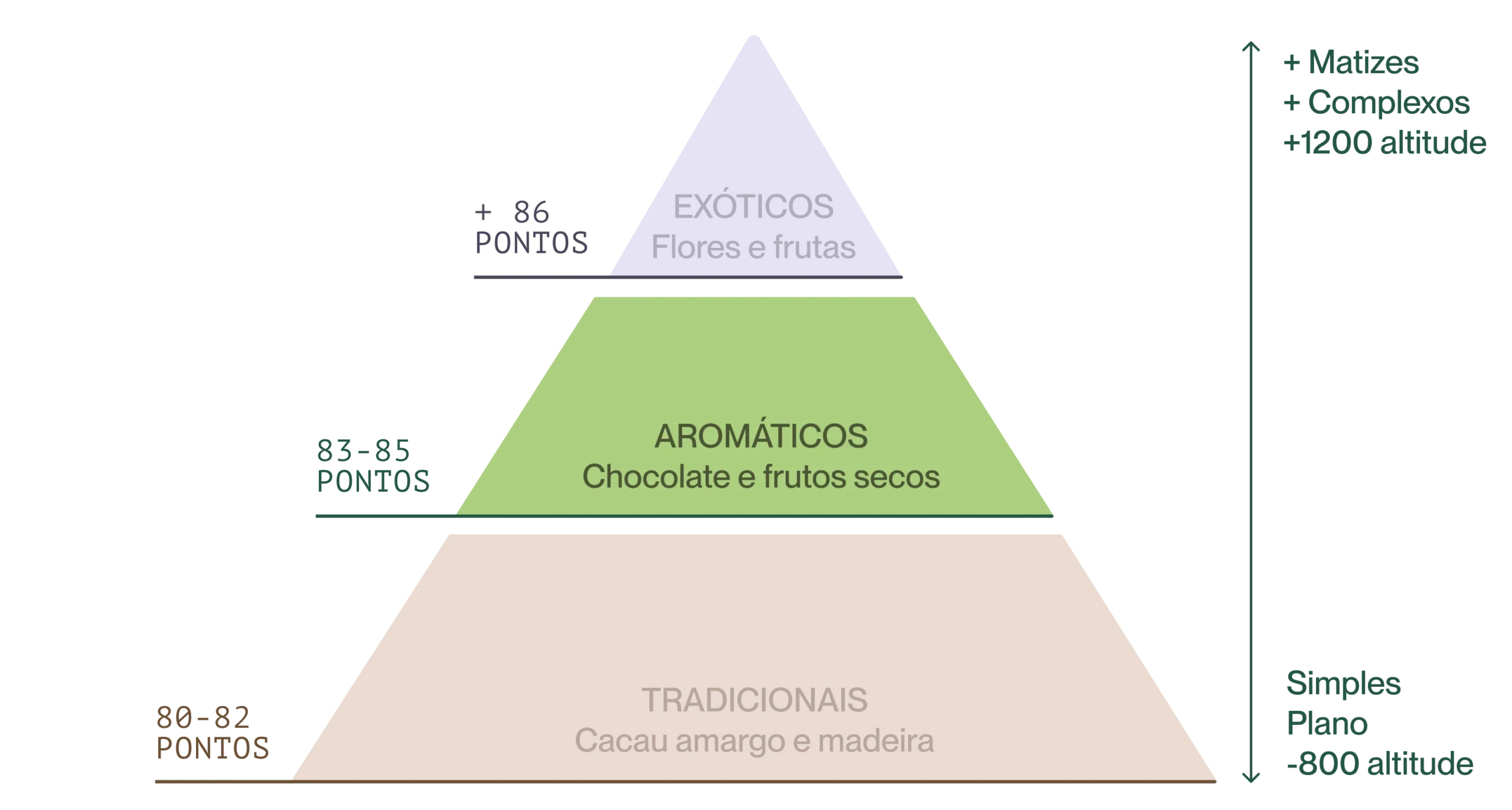 Imagen traducida