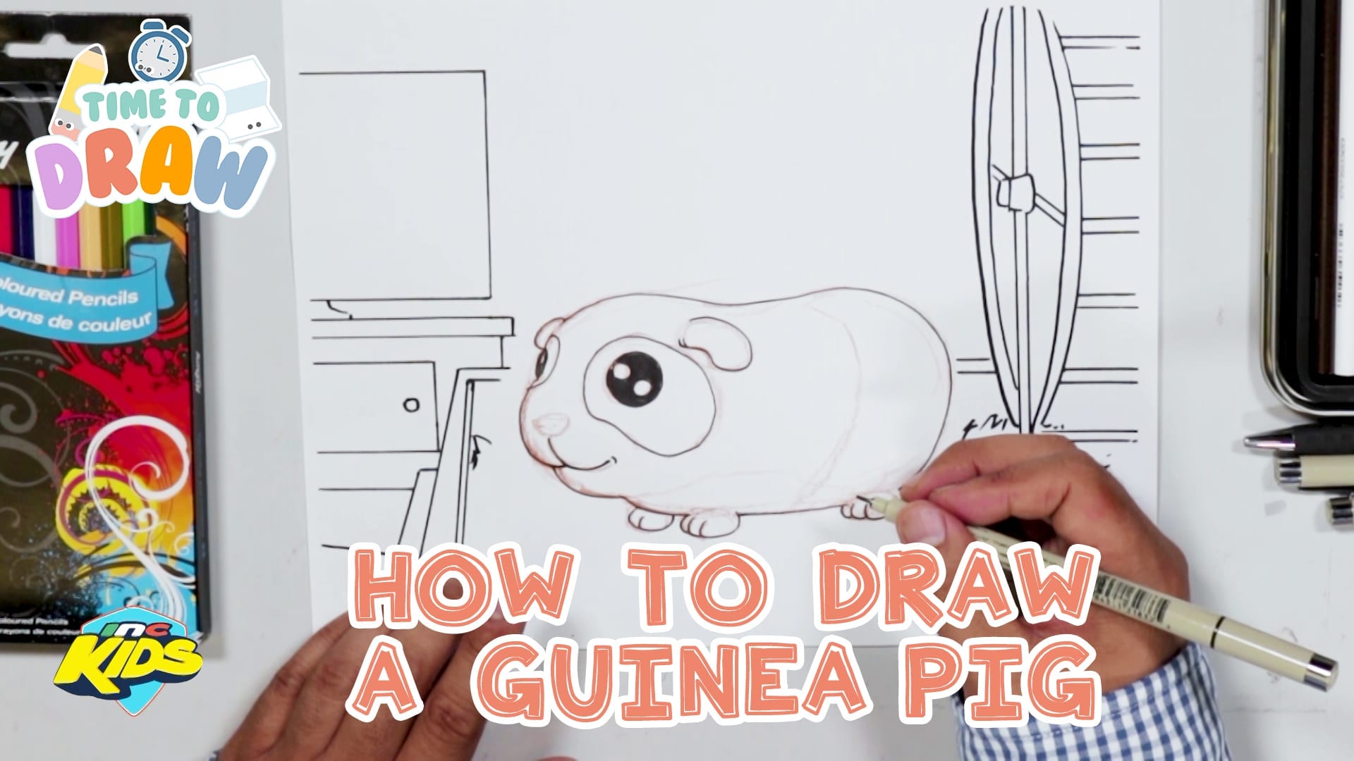 Drawing A Guinea Pig Incmedia Org