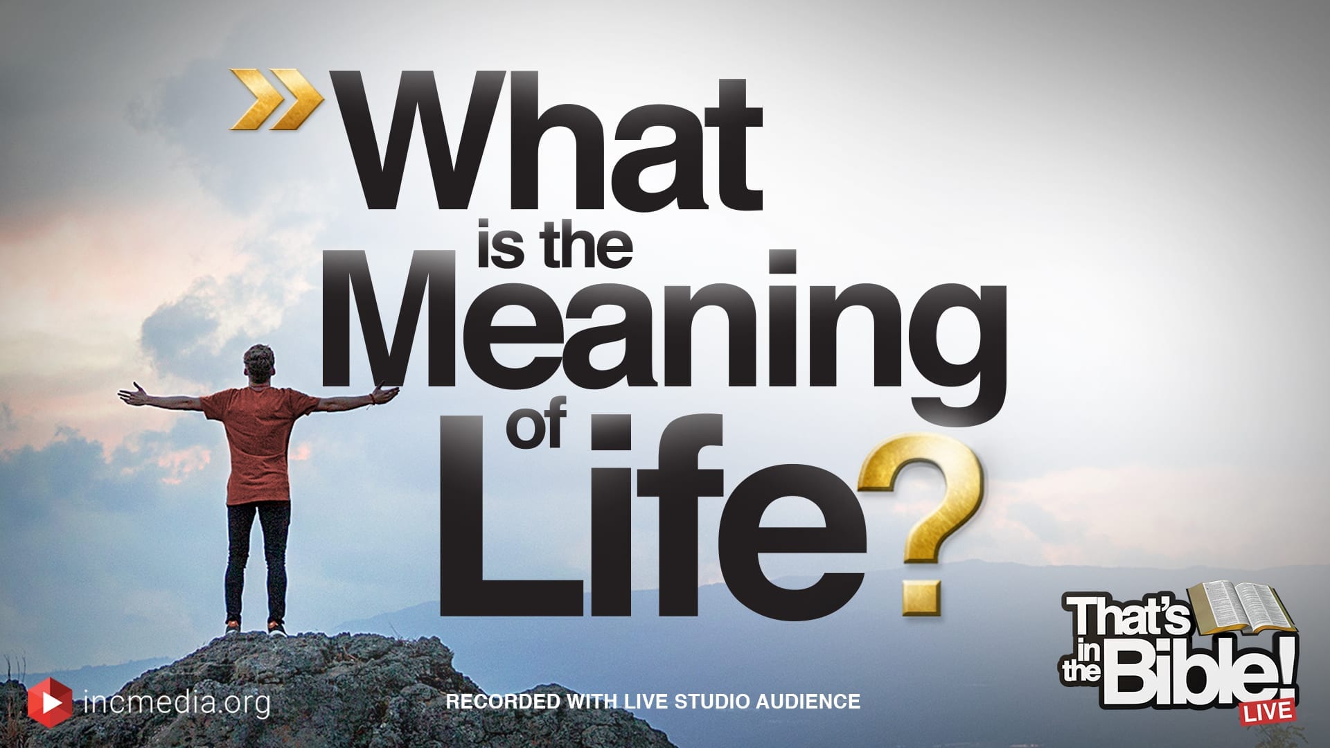 the meaning of life movie review