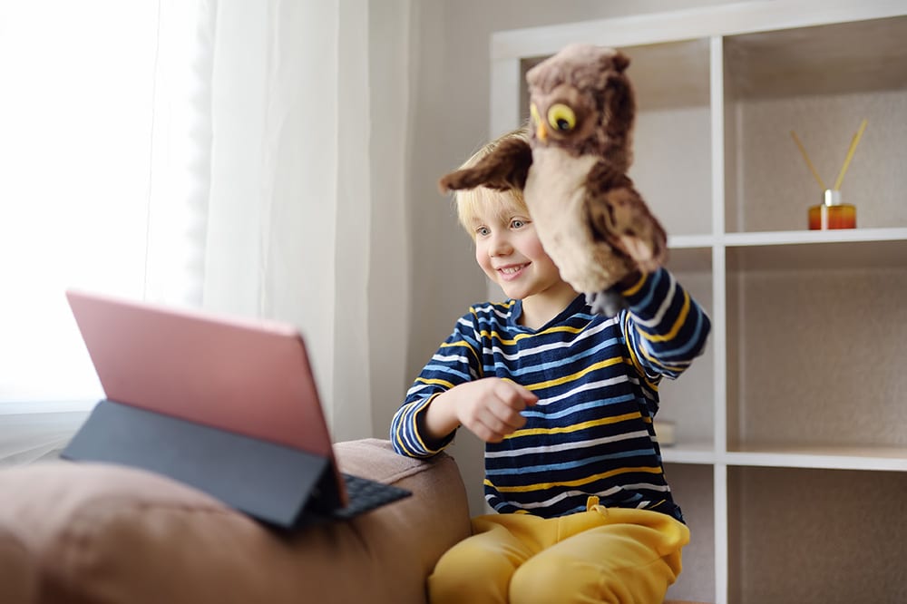 Little boy is meeting for play date in video chat while coronavirus pandemic. Stay at home during quarantine. Communication with relatives and friends online. Keeping social distance.