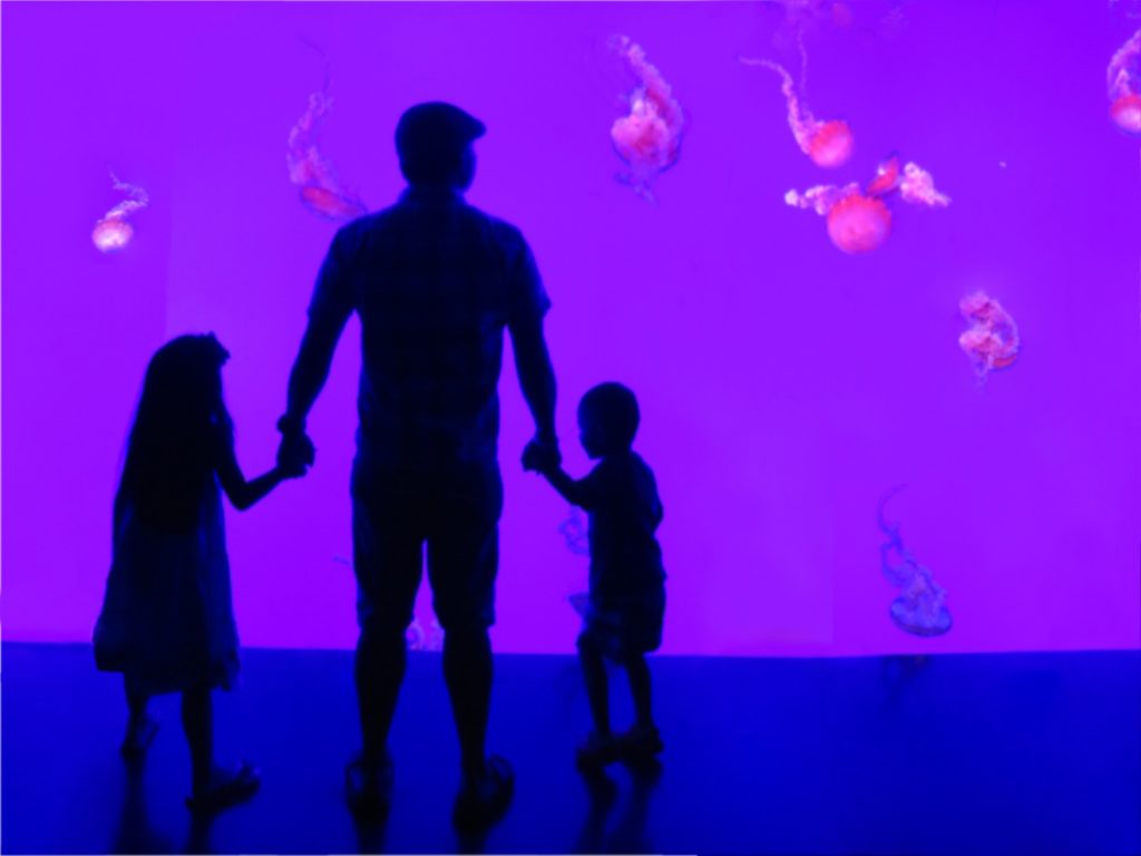 Silhouette of dad and children at the aquarium.
