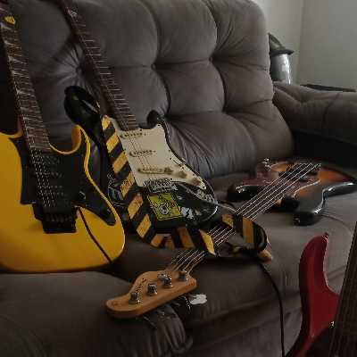 Anderson / Musician