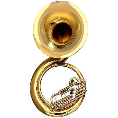 Yostin / Musician