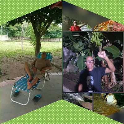 Fernando / Musician