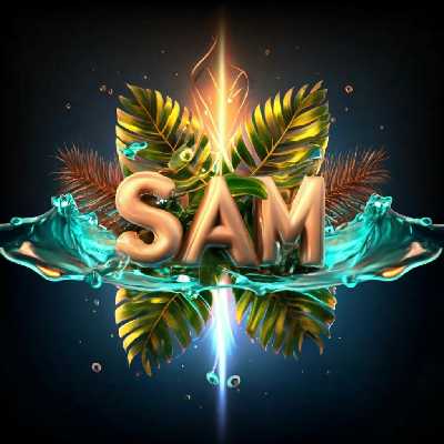 SAMUEL / Musician