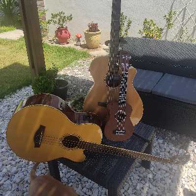 Steve / Musician