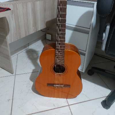 inquilino_do_ / Musician