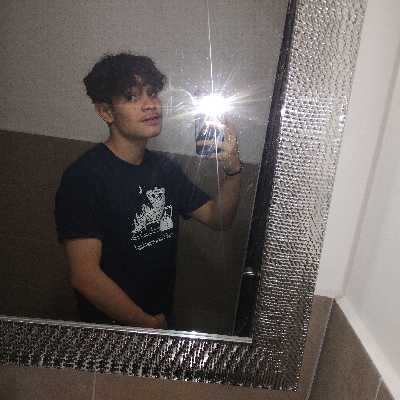Alex / Musician