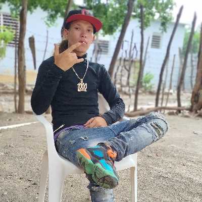 El / Musician