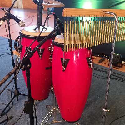 Edgardo / Musician