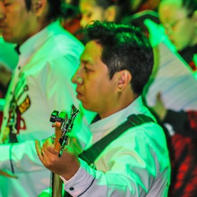 Carlos / Musician