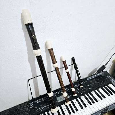 Kaio / Musician