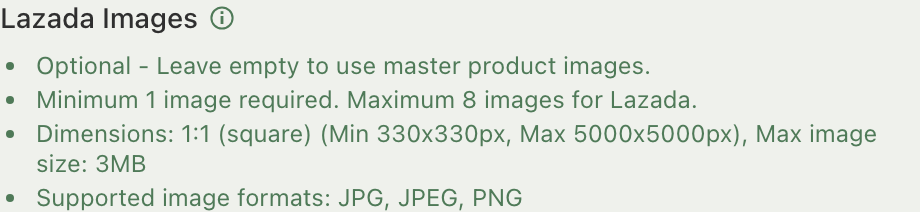 A marketplace channel tab's own image requirement panel, showing its own aspect ratio and size limits