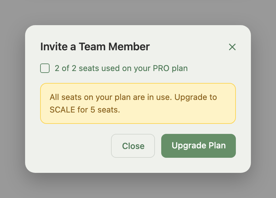 Invite a Team Member modal, at-cap: usage counter for the current plan, upgrade message, and the Upgrade Plan button