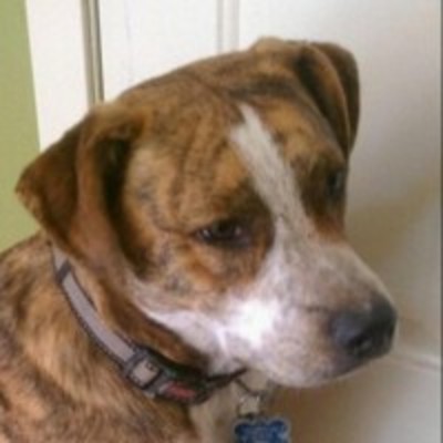 Zane Milakovic's avatar