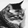 wong2's avatar
