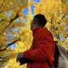 IndieHacker_ly's avatar